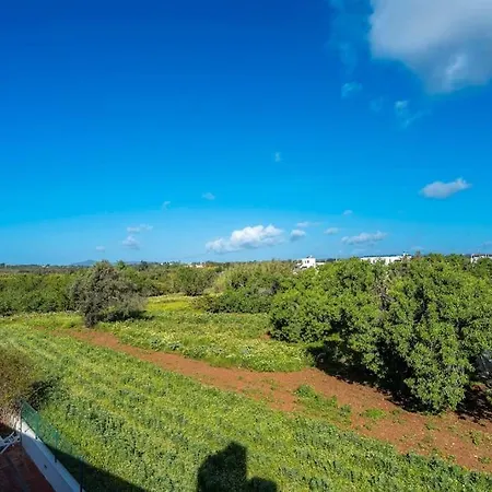 Terrasses Santa-luzia *