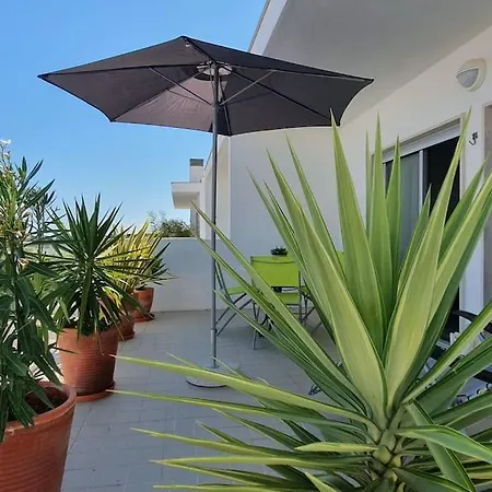 Terrasses Santa-luzia