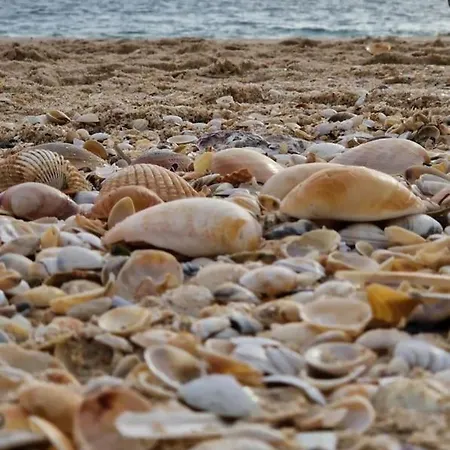 Terrasses Santa-luzia Lejlighed